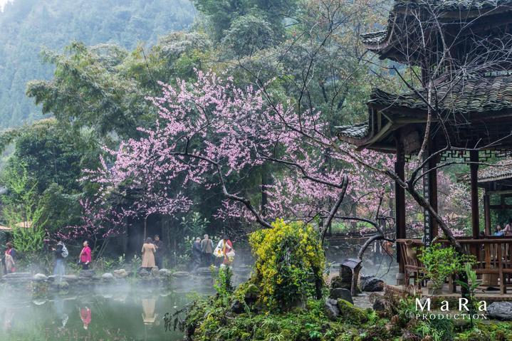 秘鲁金字塔挖出16具遗骸,专家确认是清朝人,揭开一段屈辱的历史