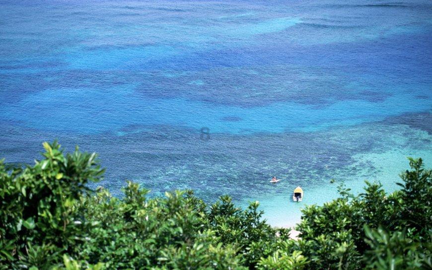 流星蝴蝶剑