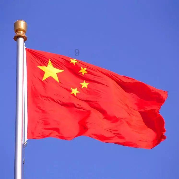 红豆杉的果实能吃吗?有什么作用?游戏画面