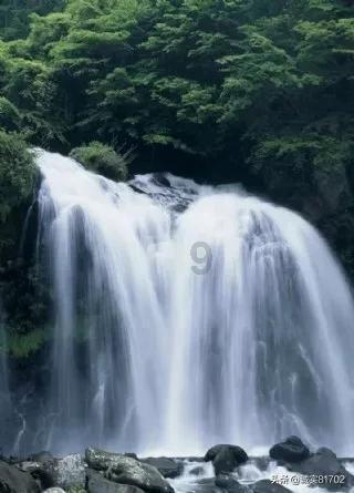 蝴蝶领结