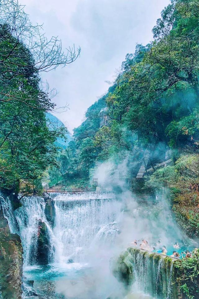 独步竹林