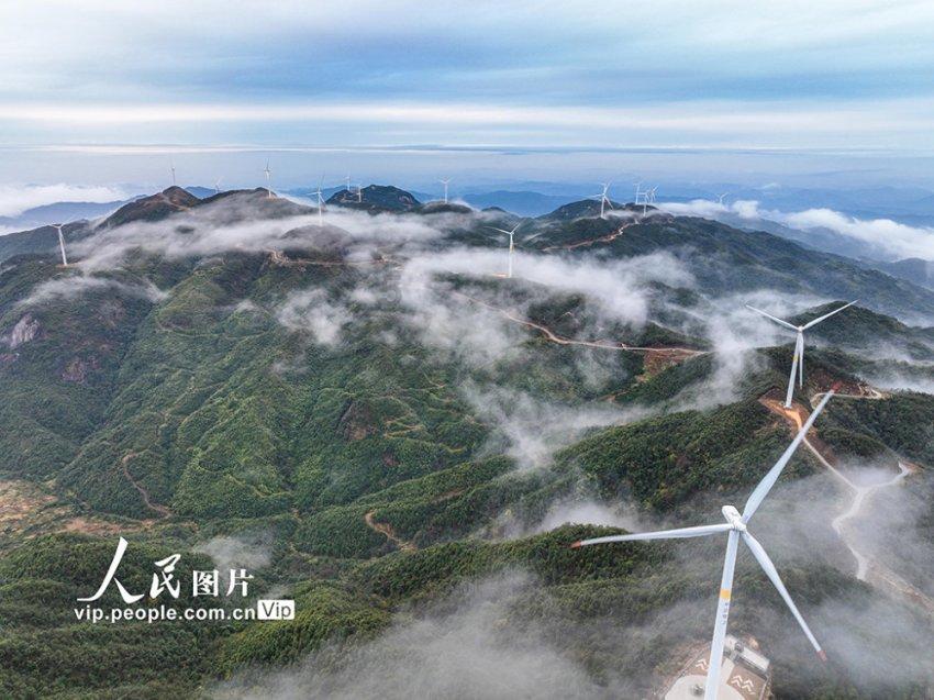 逗小猴开心系列206
