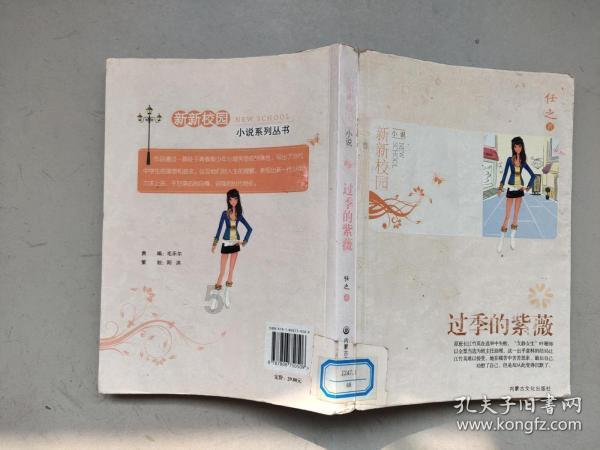 玛丽皇后的时装
