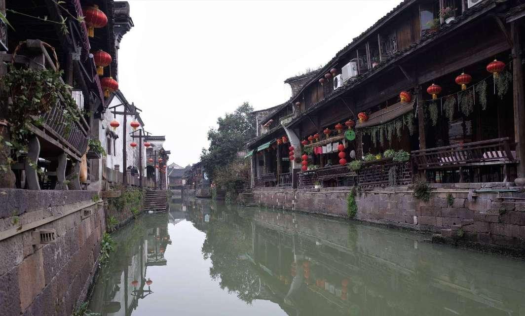 动物帮帮忙保卫家园